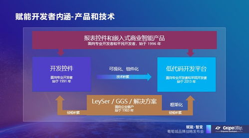 葡萄城發布新使命 賦能開發者，驅動業務創新