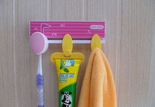 創(chuàng)意與衛(wèi)生的結(jié)合 快樂女聲主題衛(wèi)浴牙刷架兩件套全面解析